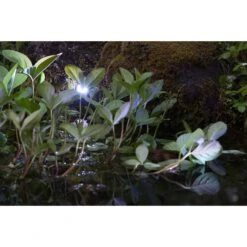 Heissner L414-00 LED Smart Light Spot 4 Watt Schwarz -Poolwelt Verkauf 08 stibi2 smartlights heissner