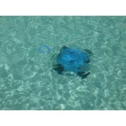 Orca 50CL, Automatischer Bodensauger Mit Akku, Bis 80m² 29 Orca 50CL, Automatischer Bodensauger Mit Akku, Bis 80m² -Poolwelt Verkauf 107103 ORCA 050CL Poolroboter 07