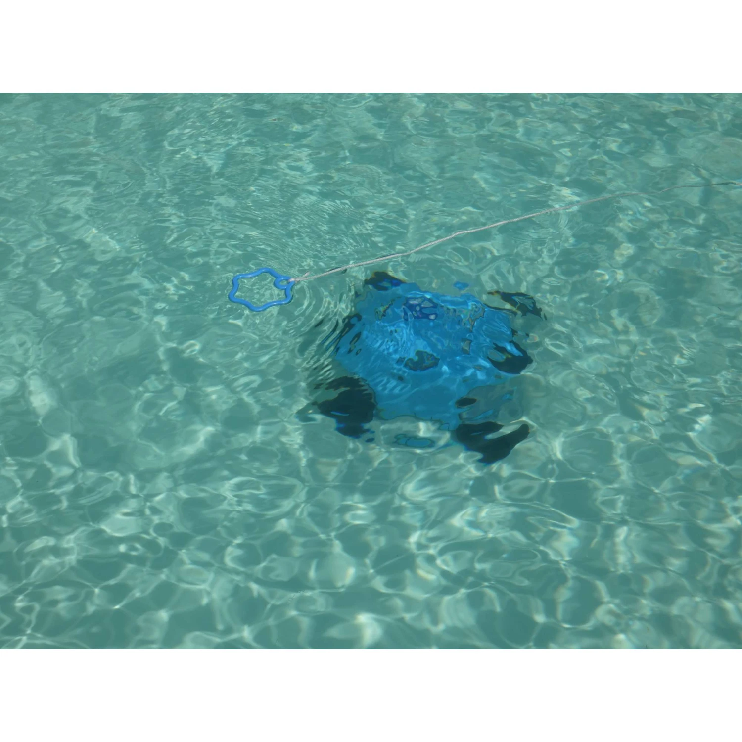 Orca 50CL, Automatischer Bodensauger Mit Akku, Bis 80m² 16 Orca 50CL, Automatischer Bodensauger Mit Akku, Bis 80m² – Bild 14